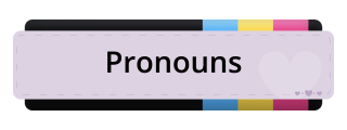 Pronouns Panel from Pansexual Pride Panel Theme.